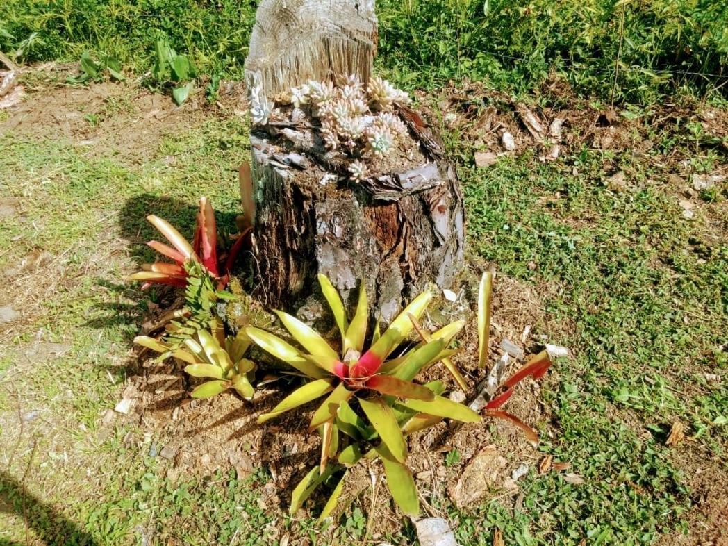 Chale Vale Das Flores - Visconde De Maua Rj Exterior photo
